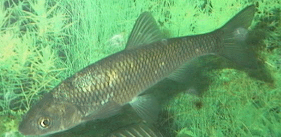 πατήστε για μεγέθυνση