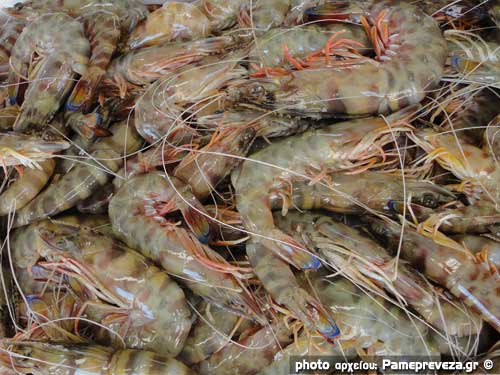 πατήστε για μεγέθυνση