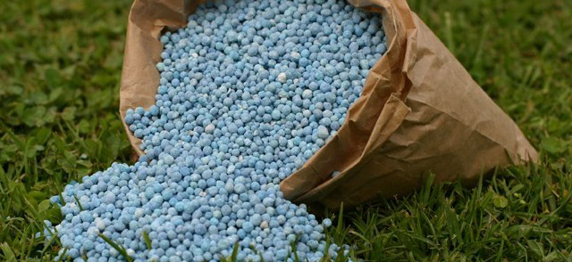 image1_F15592.jpeg image1_F15592.jpeg