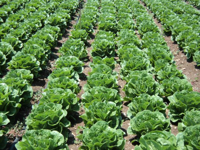 πατήστε για μεγέθυνση