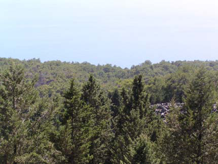 image3_F9890.png image3_F9890.png