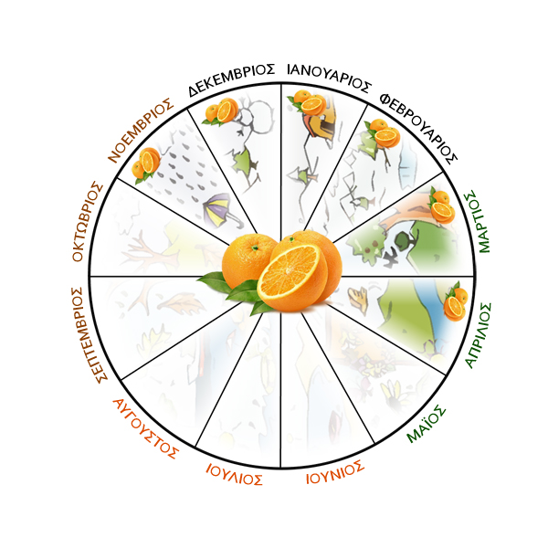 image4_F10361.png image4_F10361.png