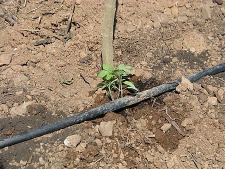 image5_F27490.jpeg image5_F27490.jpeg