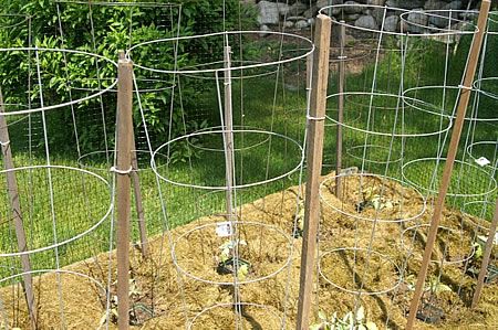 image6_F27533.jpeg image6_F27533.jpeg