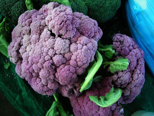 image6_F891500930.jpeg image6_F891500930.jpeg