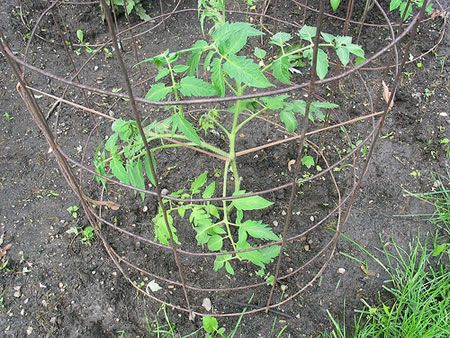 image7_F27562.jpeg image7_F27562.jpeg